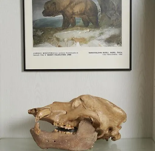 And Museum First Мини-отель