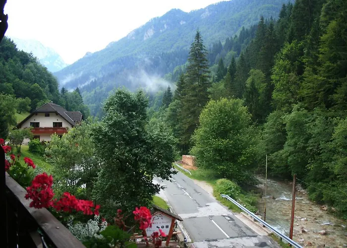 Guest House And Museum First gostionica 3*